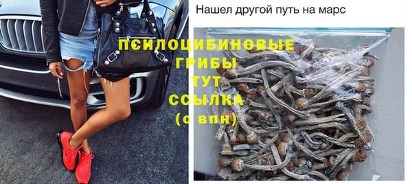 гидропоника Михайловск