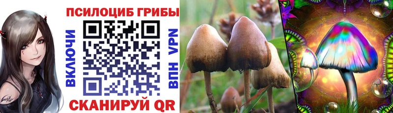 это какой сайт  Нижневартовск  Псилоцибиновые грибы Psilocybe  как найти наркотики  omg маркетплейс 