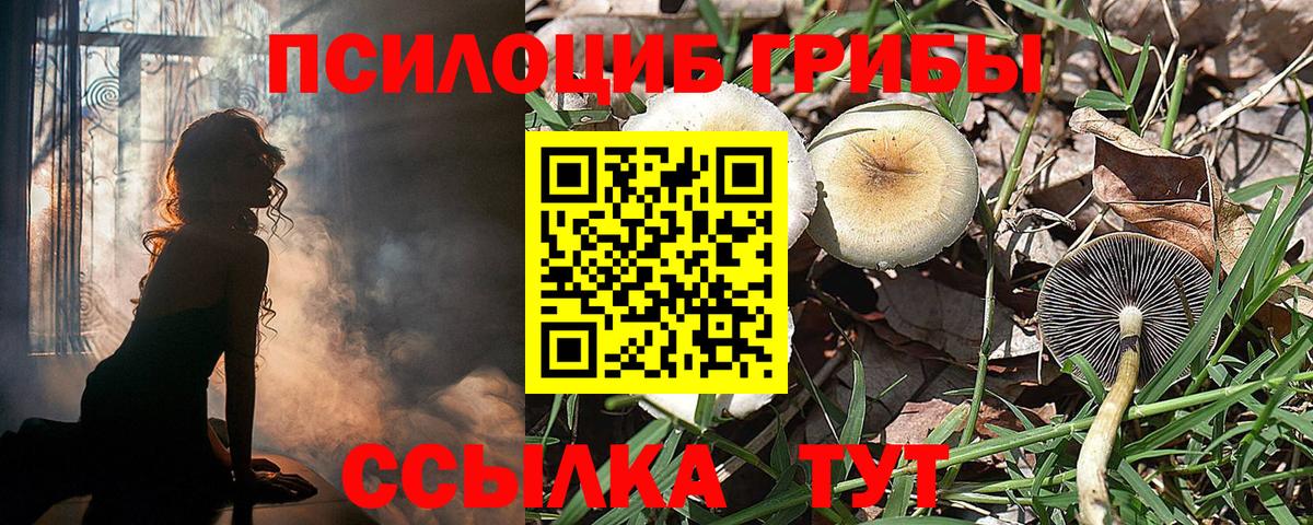 Нижневартовск  Галлюциногенные грибы мицелий  Галлюциногенные грибы Psilocybine cubensis  Вход с VPN 